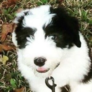 Meet your Posher, Kayley